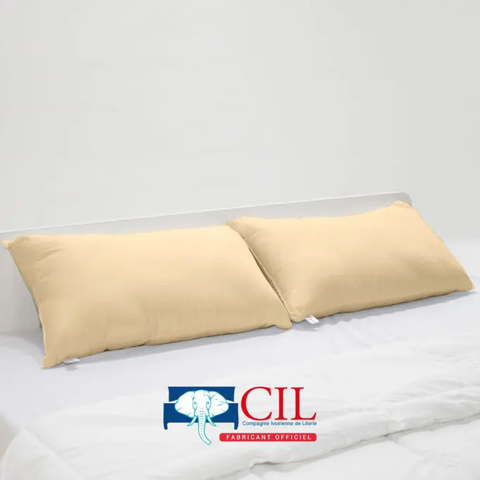 Cil Lot De 2 Oreillers Orthopédiques Serenity® - 45X70 Cm - Confort Plume Kaki