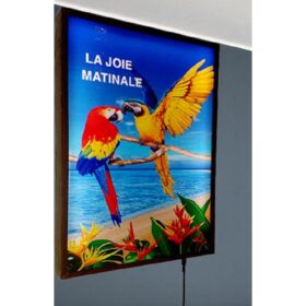 Veilleuse-décorative 2EN1