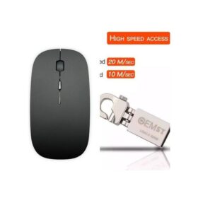 Souris Optique Sans Fil Noir Ou Blanc + Clé USB 32G Type Porte-clé Performante