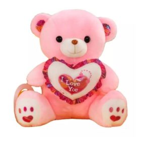 Nounours - Peluche / Cadeau Saint Valentin - (Longueur 35 Cm - Largeur 20 Cm)