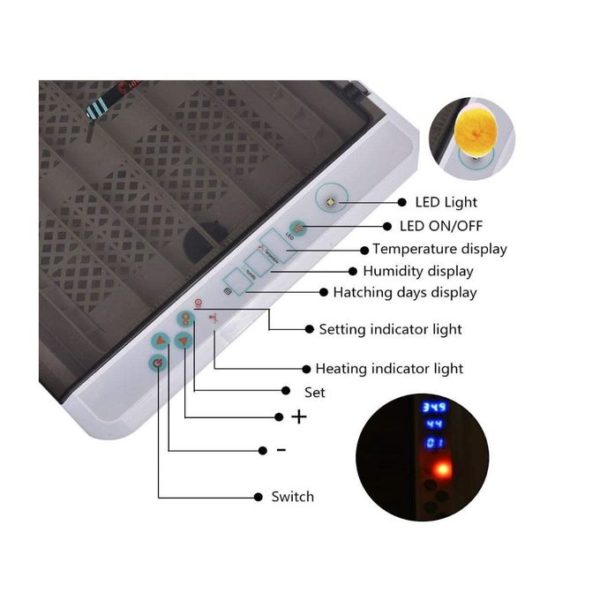 Incubateur Oeufs, 36 Oeufs