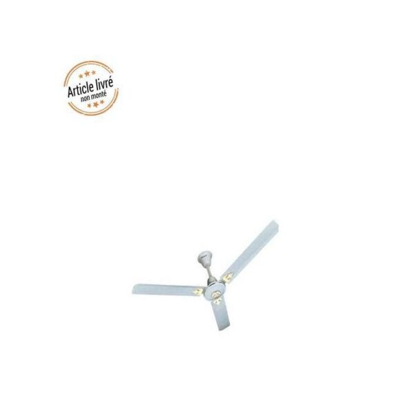 Ventilateur De Plafond LONG HÉLICE - Blanc