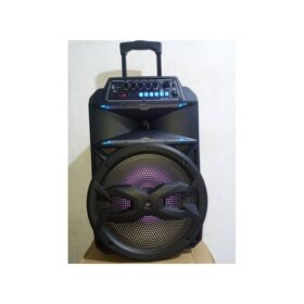 Enceinte Bluetooth Portable + 2 Micros New Modèle 2020