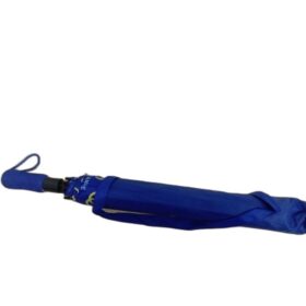 Parapluie Pliant Automatique -Bleu